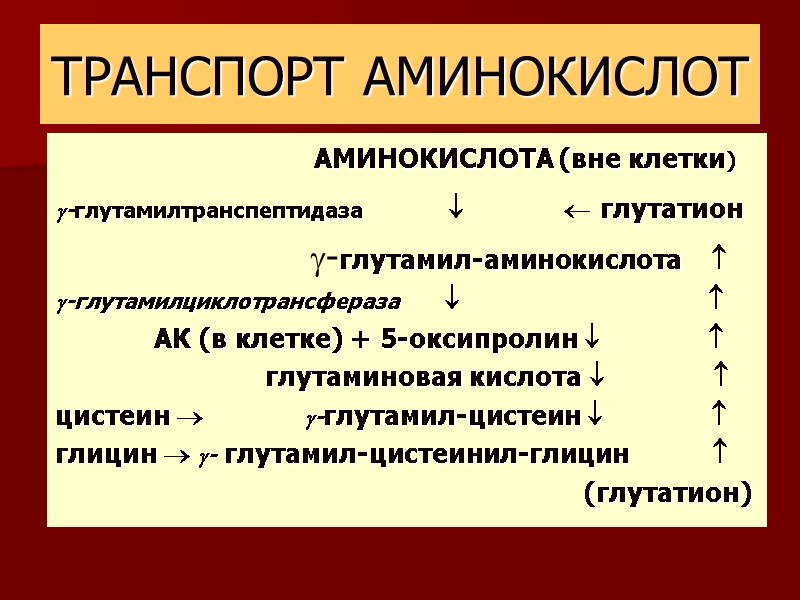 ТРАНСПОРТ АМИНОКИСЛОТ            